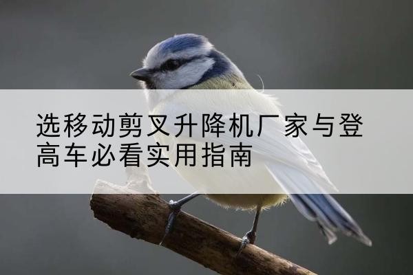 化德电动升降机厂家-选移动剪叉升降机厂家与登高车必看实用指南