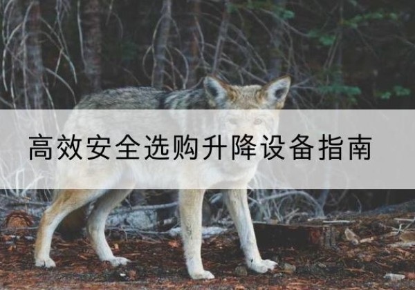 化德升降货梯厂家推荐-*安全选购升降设备指南